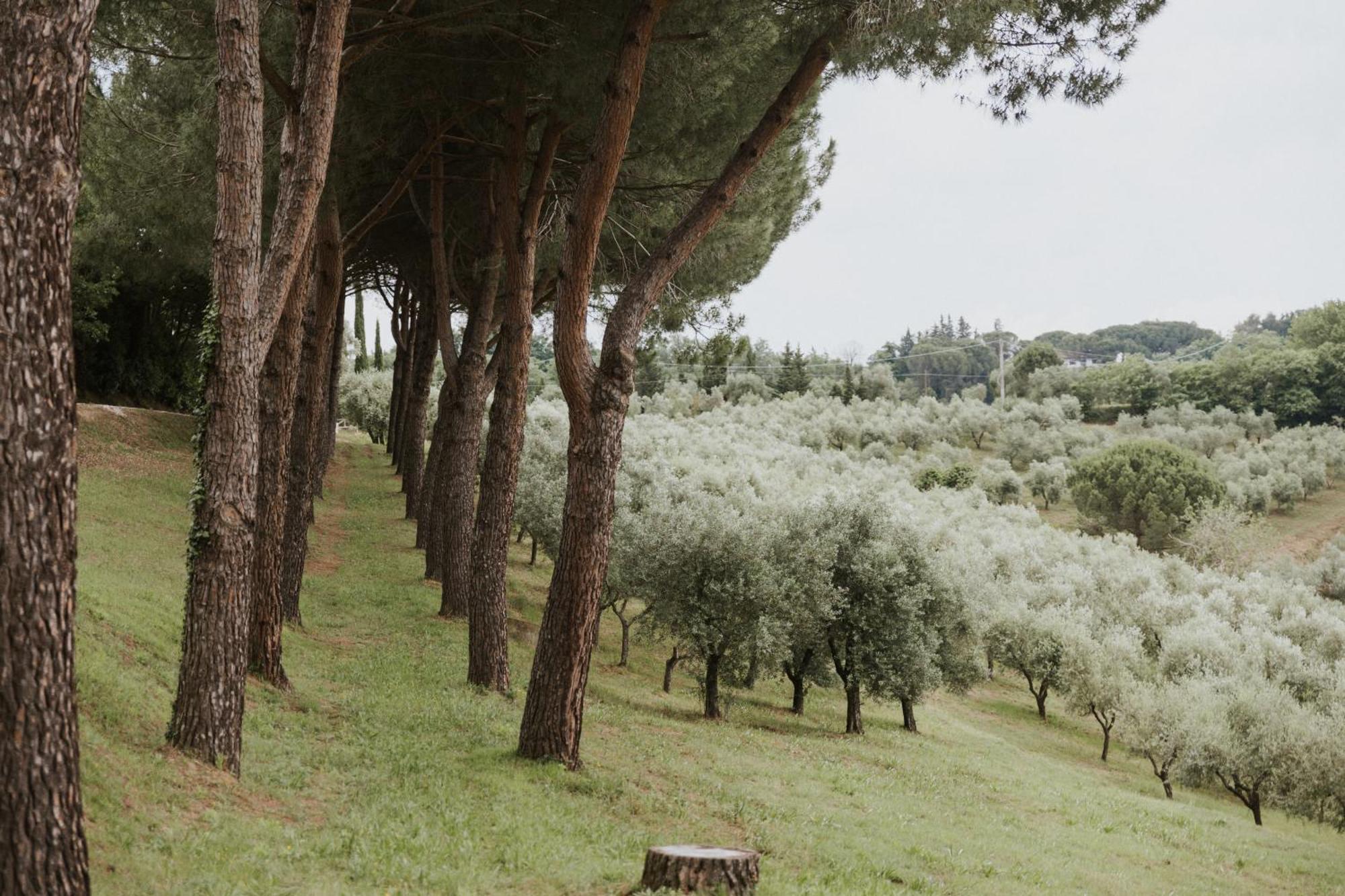 Villa Delia Hotel And Cooking School Rivoli  Exterior foto